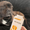Dog Supplement Skin & Coat - Support For Dogs - Wag Well